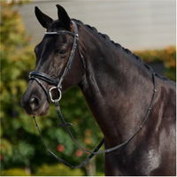 Rembourré Mono Couronne Brevet Flash Bridle